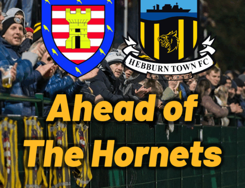 Ahead Of The Hornets