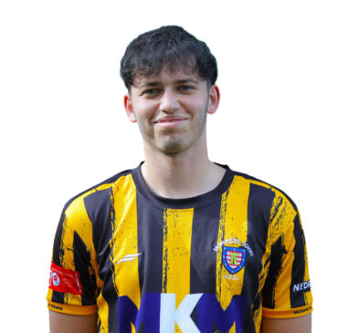 Harry Gardiner Vinne Steels